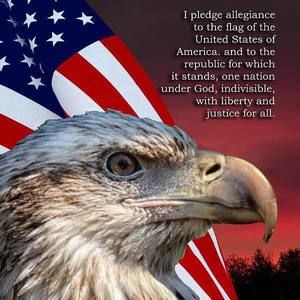 Meet your Posher, Dave